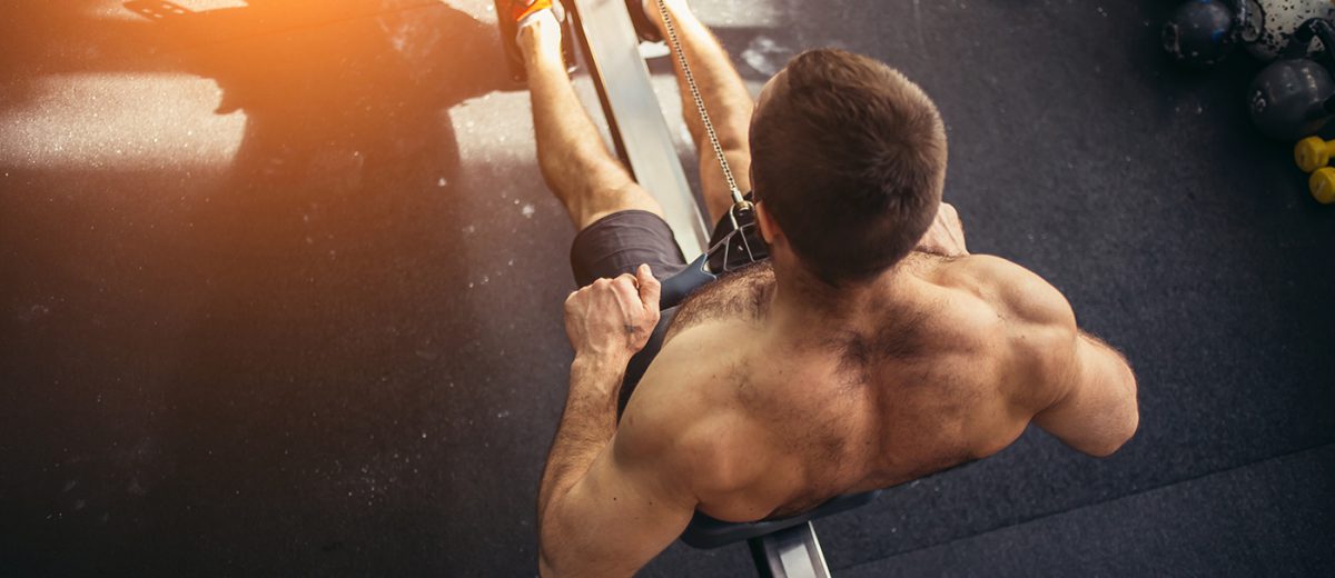The 7 Best Back Workouts for Mass - Fitplan Blog